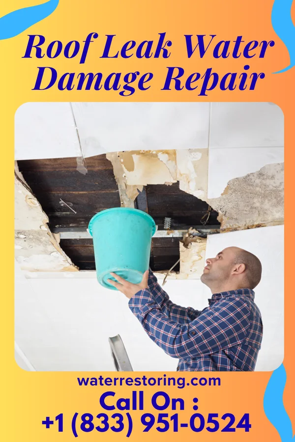 Roof Leak Water Damage Repair in Cuba, NM